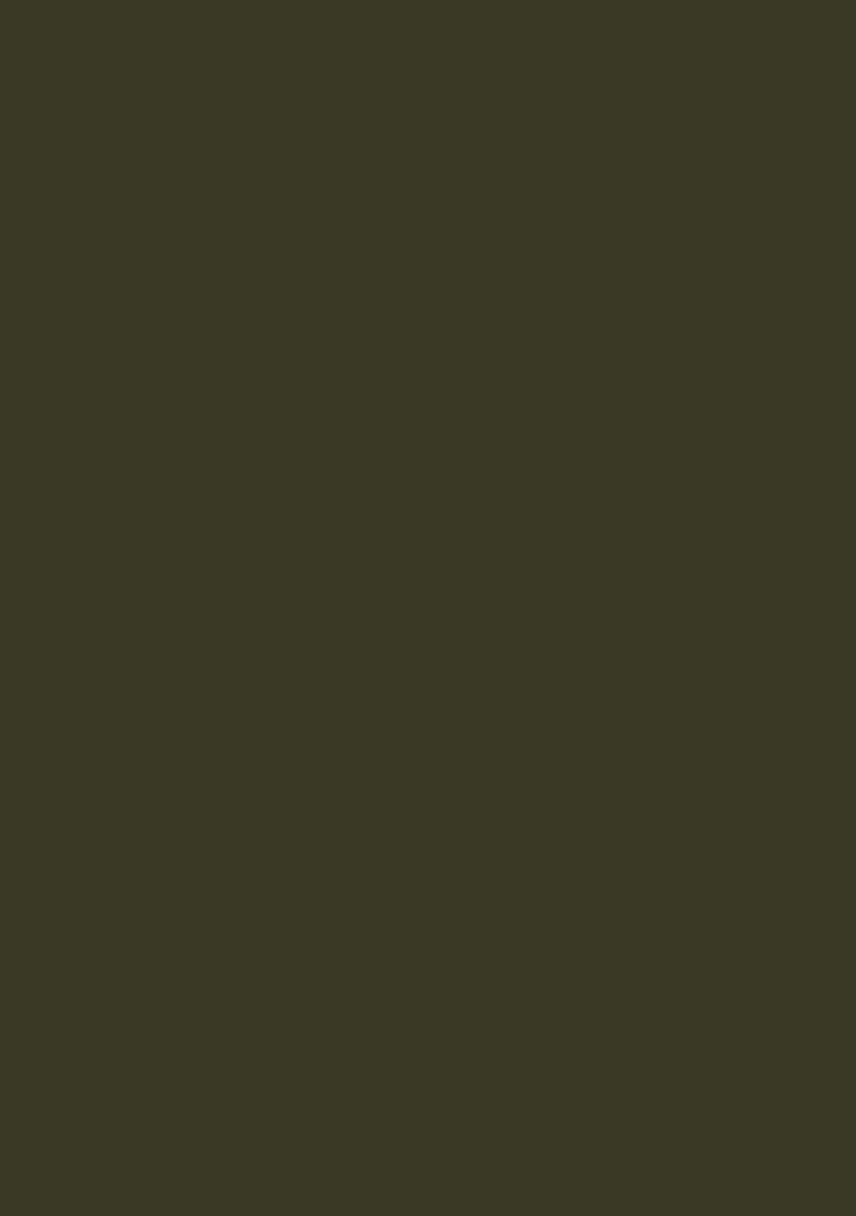 Anaya Suri Olive Green Embroidered Silk Blend Lehenga Set - Image 4
