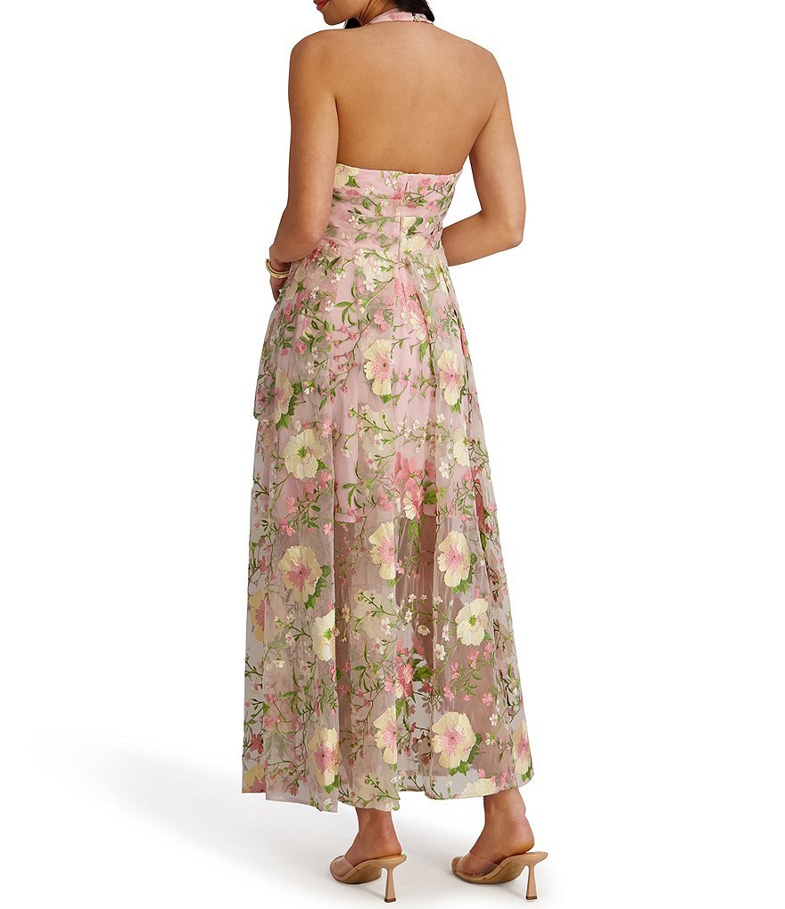 Embroidered Floral Mesh Deep V-Neck Long Dress - Image 2