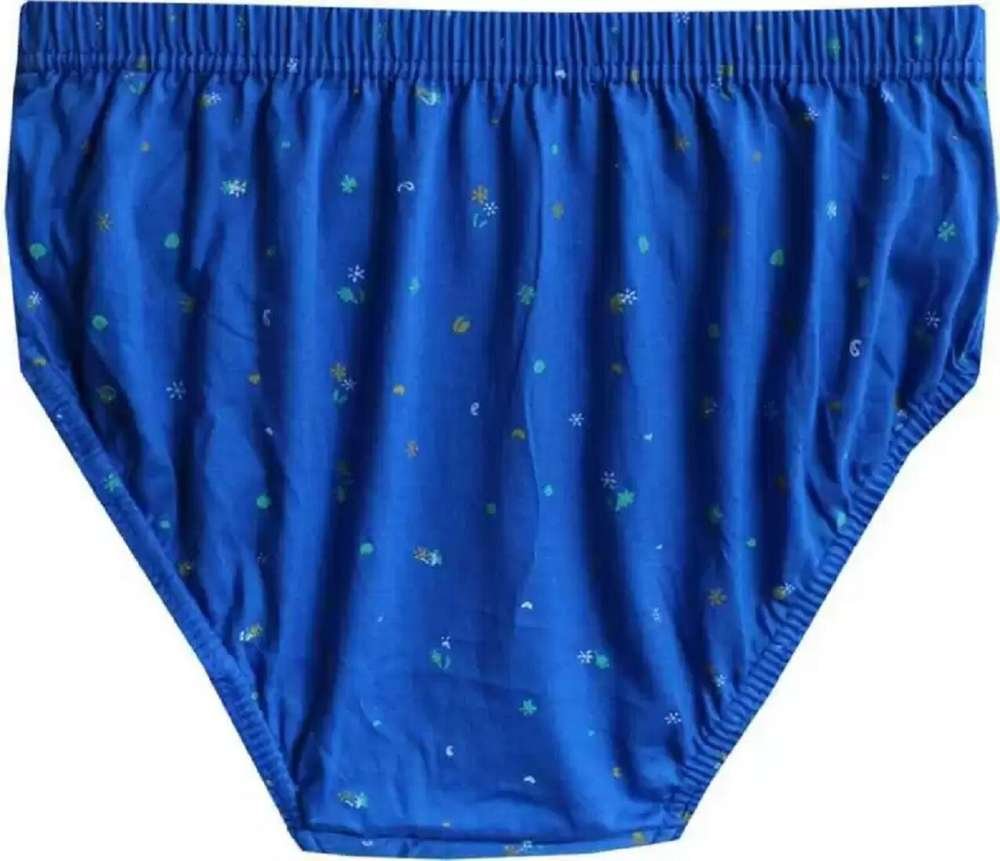 THE TUSHT Pack of 10 Women Hipster Multicolor Panty - Image 2
