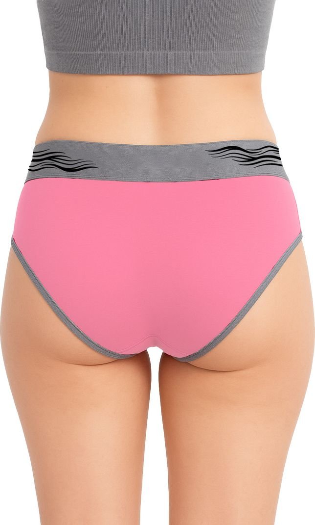 Nicsy Pack of 4 Women Hipster Multicolor Panty - Image 2