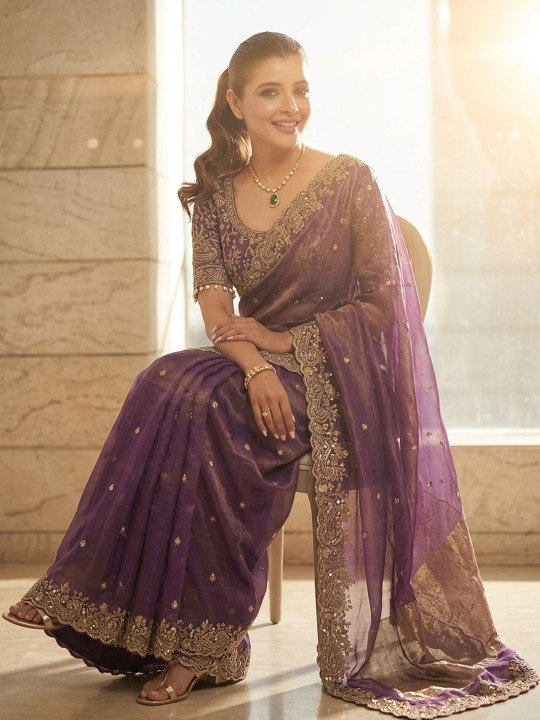 Ethnic Motifs Embroidered Satin Saree