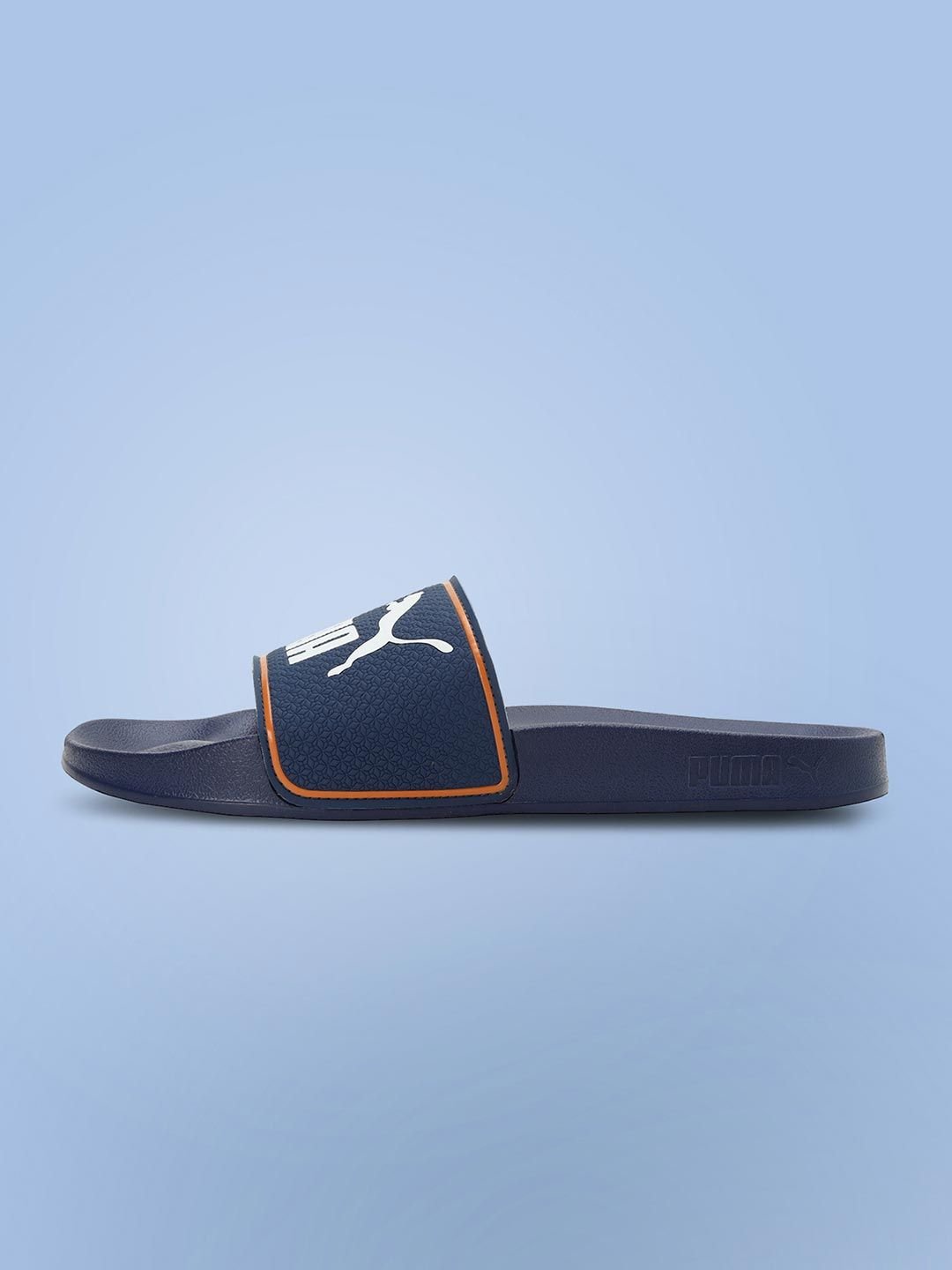 Leadcat 2.0 Slides