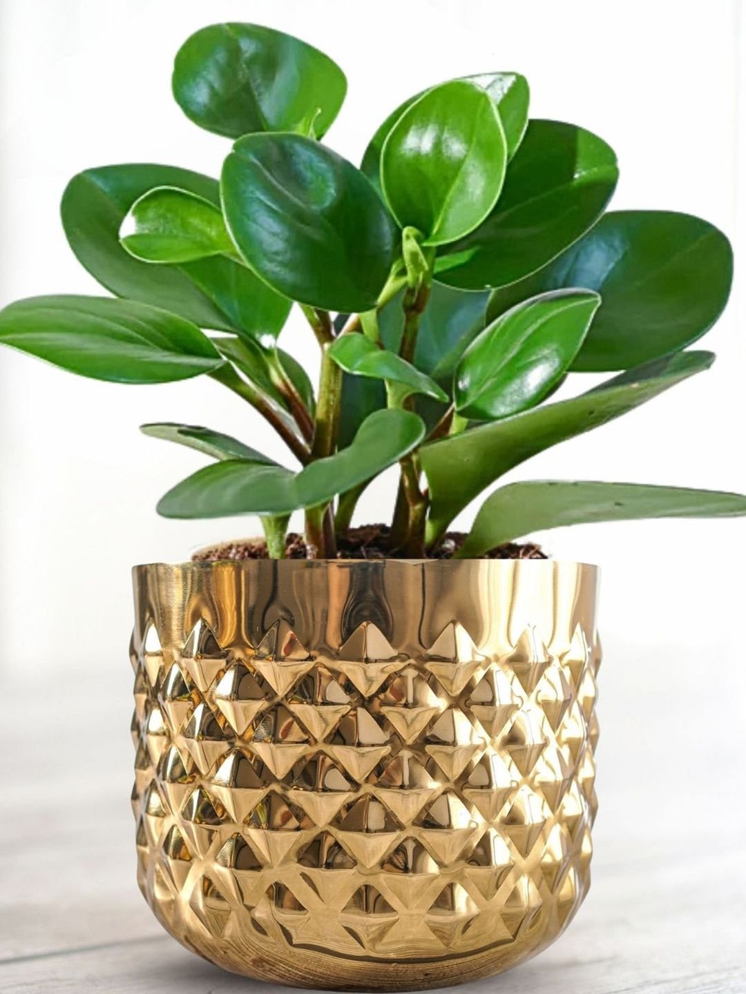 Gold Toned Pineapple Metal Texture Planter Without Plant - Image 2