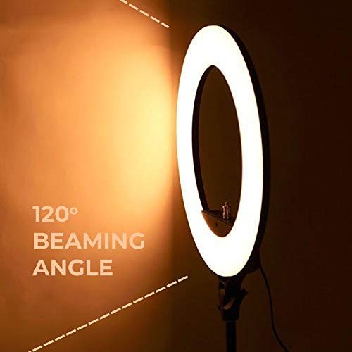 Tygot 10" Portable LED Ring Light with 3 Color Modes Dimmable Lighting | for YouTube | Photo-Shoot | Video Shoot | Live Stream | Makeup & Vlogging | Compatible with iPhone/Android Phones & Cameras - Image 3