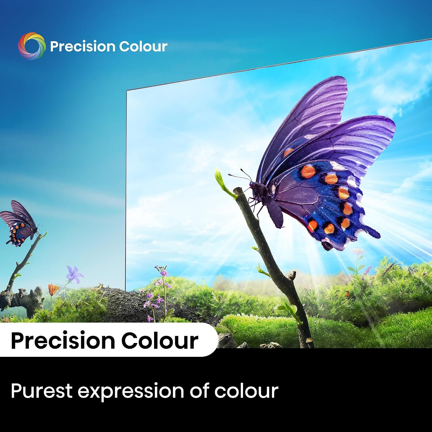 Hisense 164 cm (65 inches) E6N Series 4K Ultra HD Smart LED Google TV 65E6N (Black) - Image 14