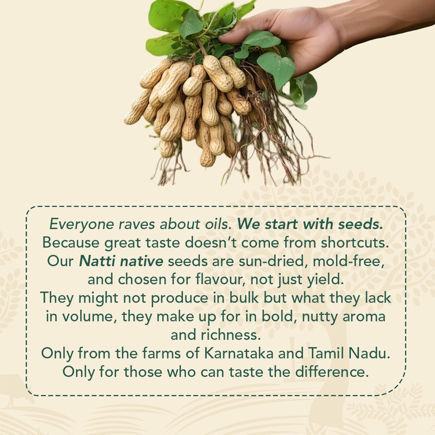 Anveshan Wood Cold Pressed Ground Nut Oil - 5 Litre | Tin Can | Kolhu/Kacchi Ghani/Chekku | Peanut Oil | Natural | Chemical-Free | Cold Pressed Ground Nut Oil for Cooking - Image 6