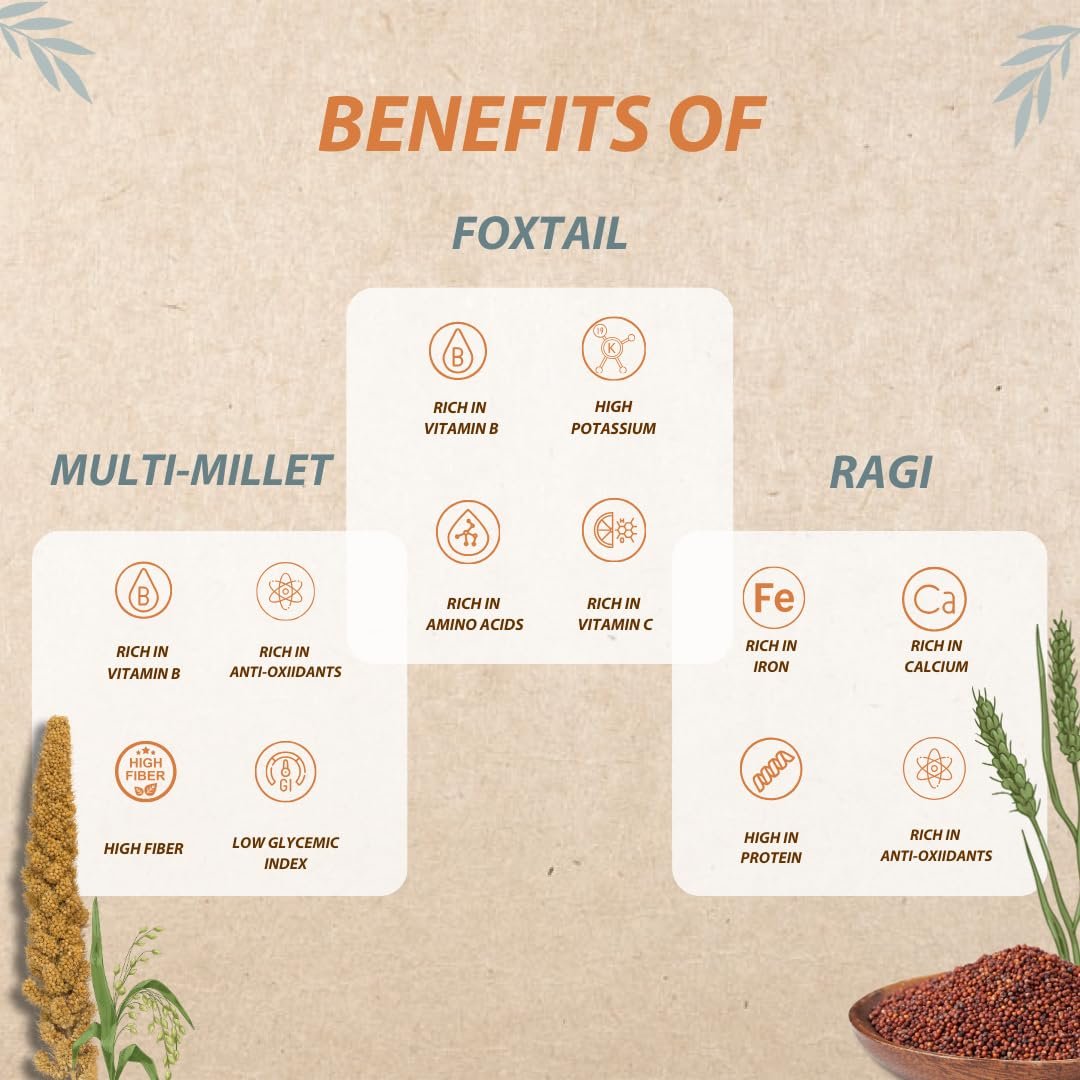 Organic Wisdom Back to Roots Super Saver Pack of 6 | Millet Noodles 384g Each & Millet Pasta 180g Each | No Maida, MSG or Refined Oil | High in Protein, Vitamin B, Antioxidants & Fiber | Tastemaker Inside - Image 3