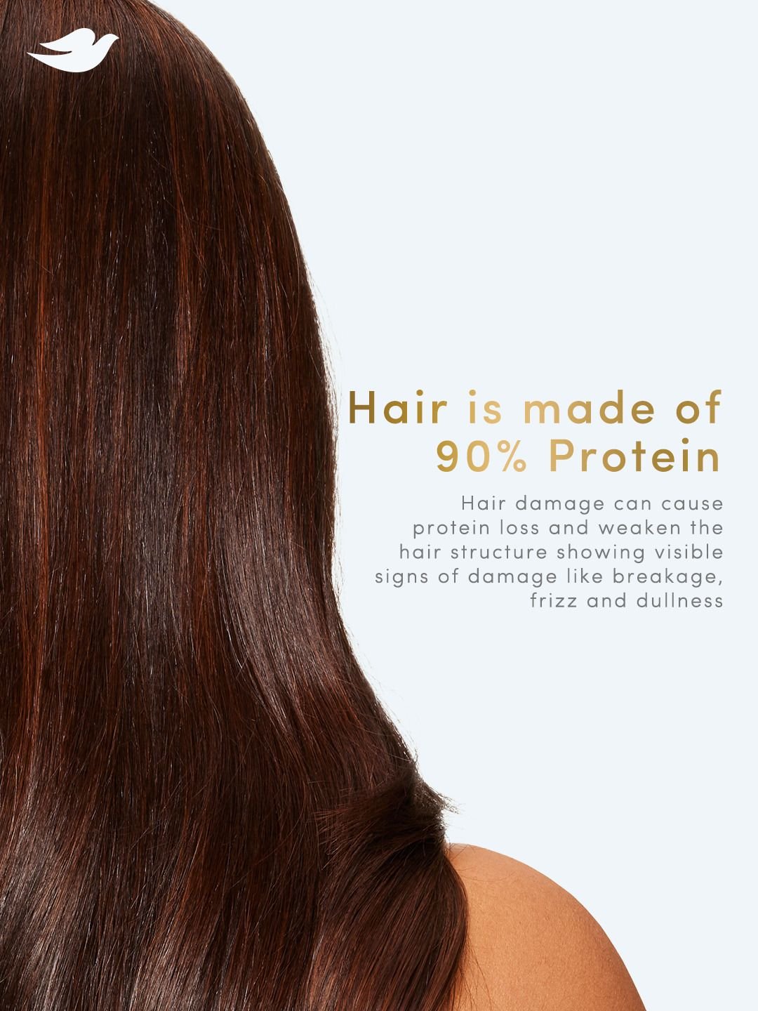 Dove Dove Intense Repair Shampoo with Ceramide - 1.2 L - Image 4