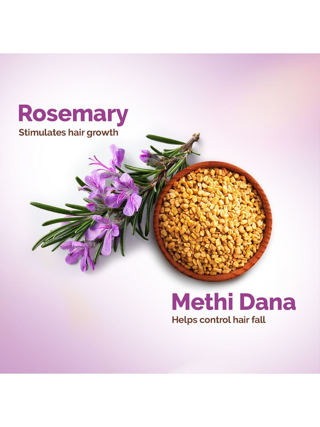 Mamaearth Mamaearth Rosemary Anti-Hair Fall Shampoo With Rosemary & Methi Dana- 1 L - Image 5